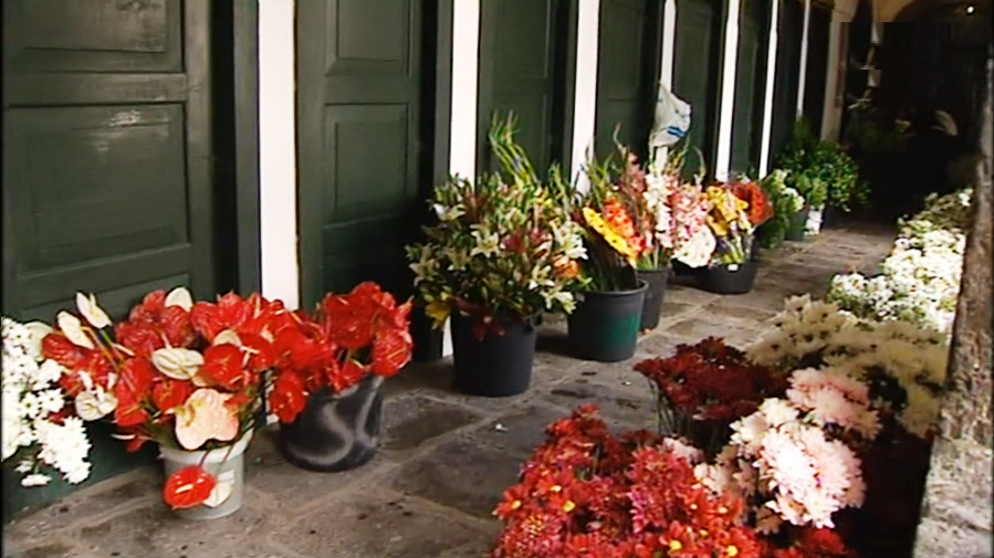 Festas do Santo Cristo dos Milagres nos Açores