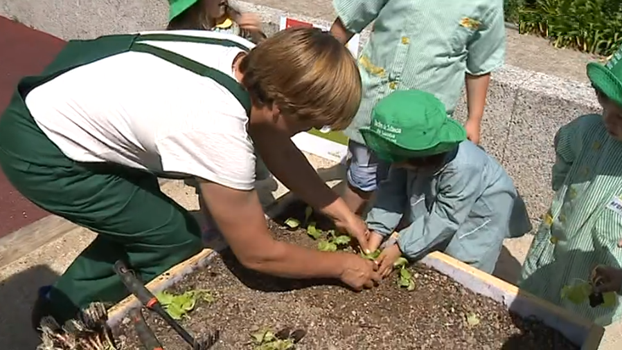 Projeto “Frutificar” em Amarante II