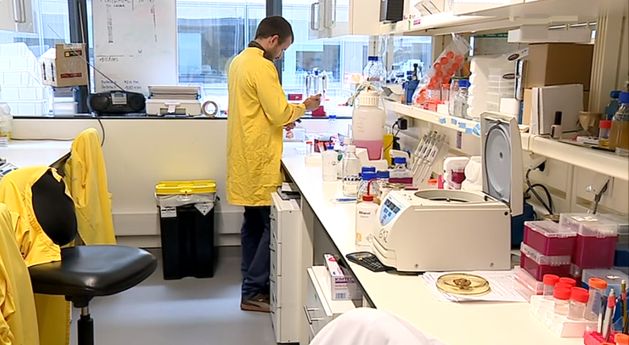 Investigação Científica em risco