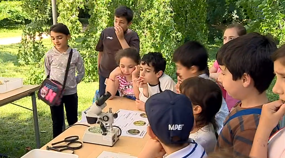 “Bioblitz Serralves” no Porto II