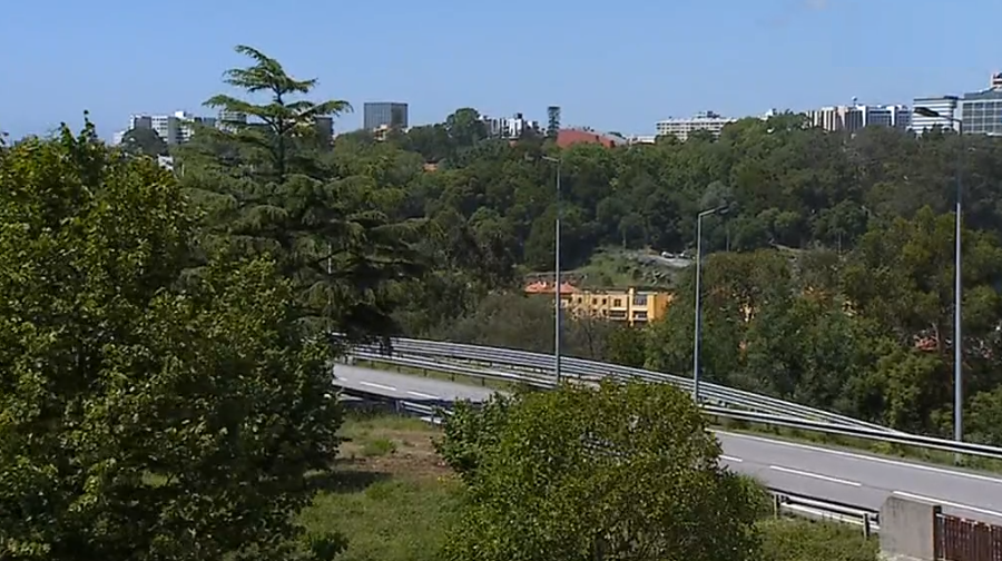 Polémica envolve Rui Moreira