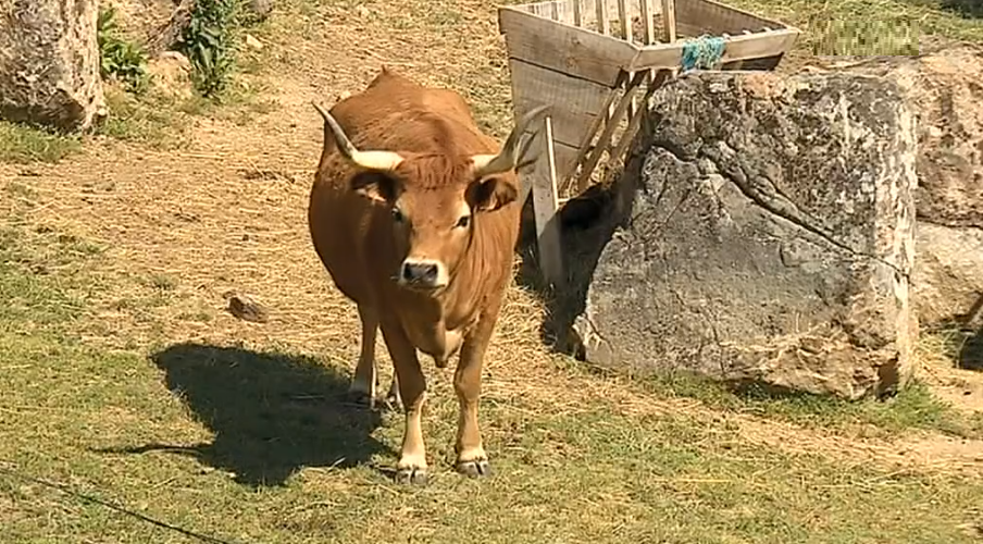 Ano Europeu do Turismo Sustentável para o Desenvolvimento II