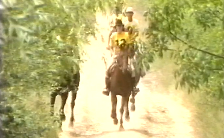 Hipismo: 2º Raide Hípico do Ribatejo