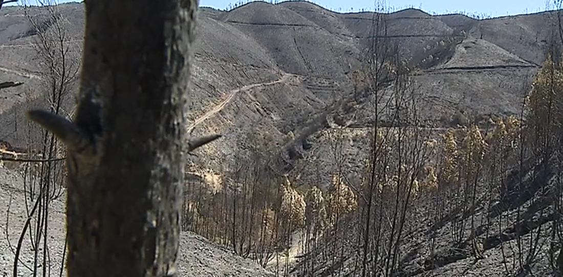 Prejuízos do incêndio de Monchique