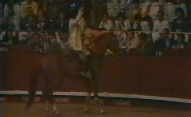 Tourada à Antiga Portuguesa em Lisboa