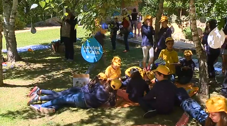 Dia Mundial do Ambiente em Sever do Vouga
