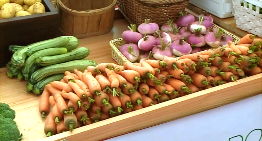 IV BioFeira dos Açores