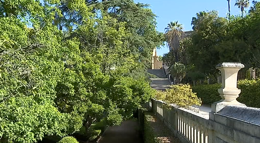 Visita ao Jardim Botânico de Coimbra