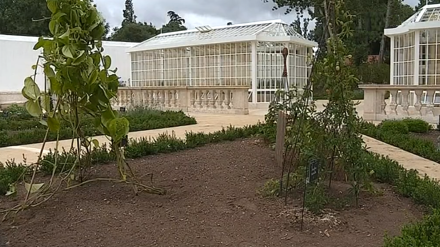 Jardim Botânico do Palácio Nacional de Queluz