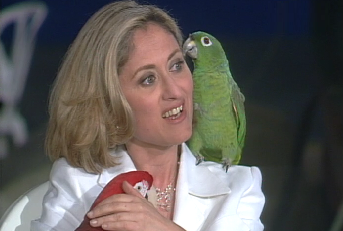 O Pensamento dos Animais – Parte III