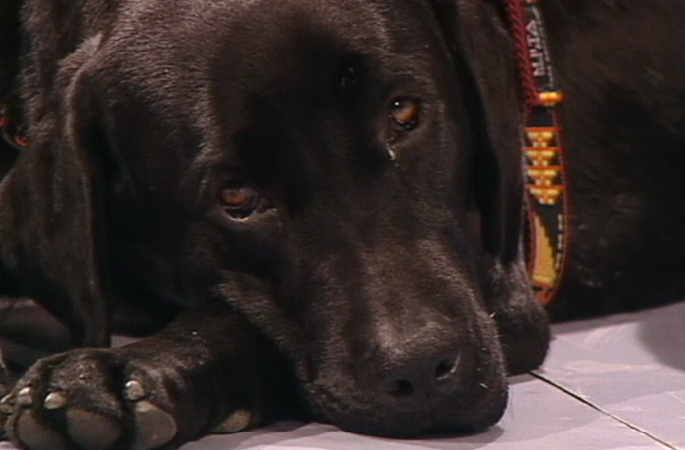 Invisuais – Parte III