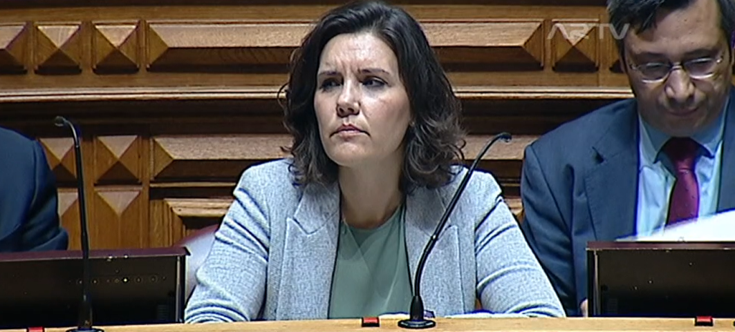 CDS-PP  quer promover a natalidade