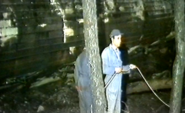 Acidente ferroviário de Alcafache