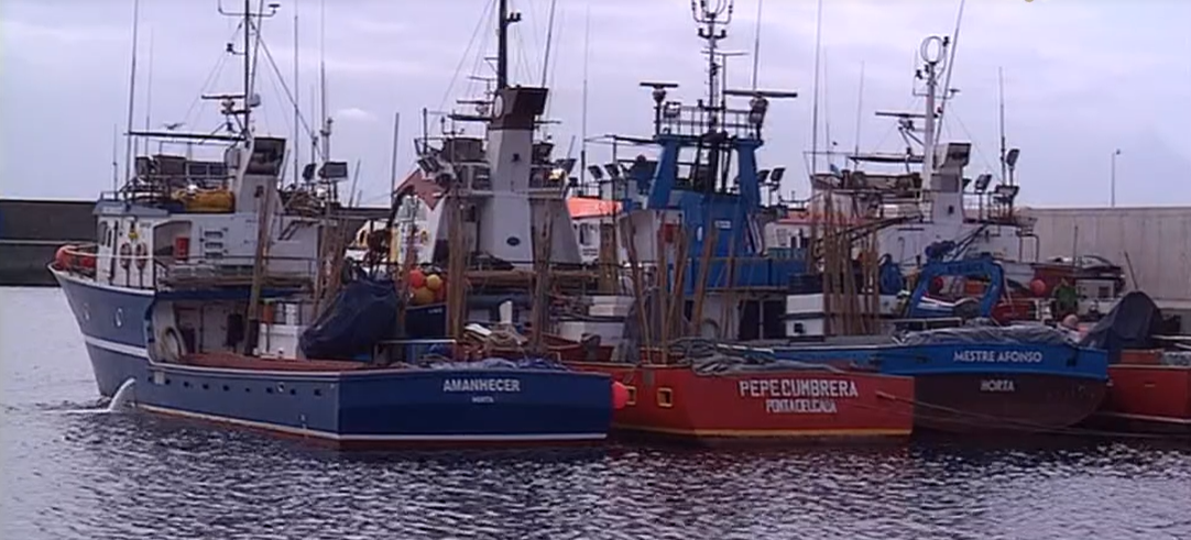 Governo autoriza a pesca de atum patudo para corrigir quotas