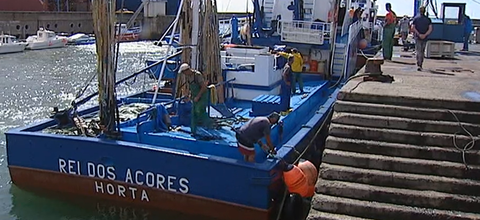 Autorização para pesca de atum patudo