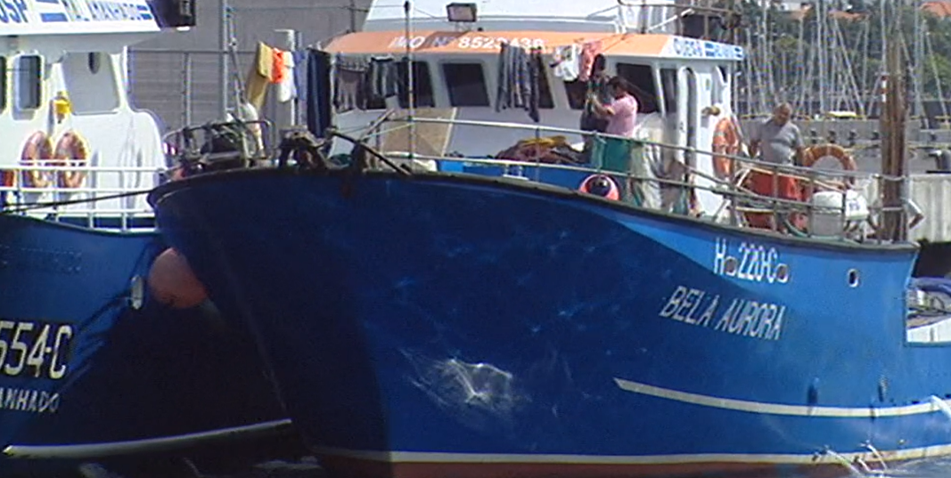 Alerta para não comercialização de atum e gaiado