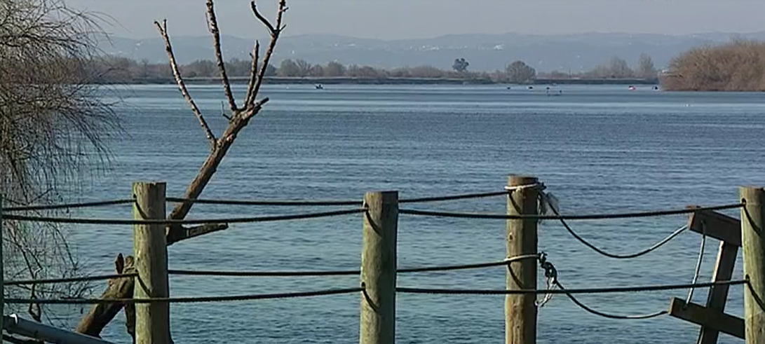Dia Nacional do Avieiro