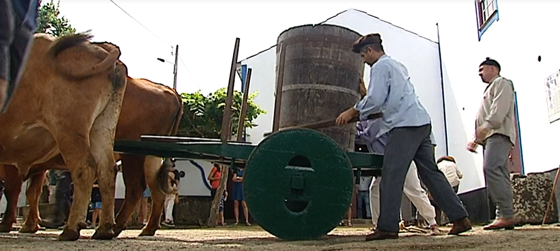 Festas das Vindimas nos Biscoitos