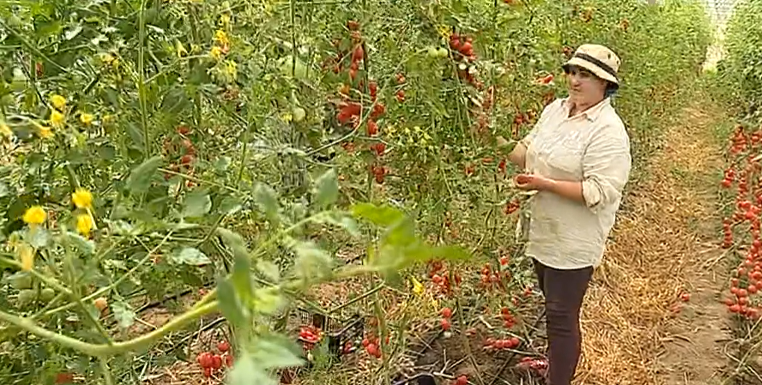 Produtos Biológicos