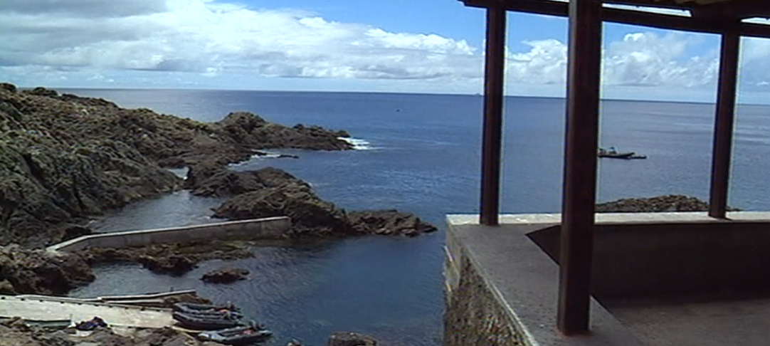 Investigadores vão estudar toxinas nas Ilhas Selvagens