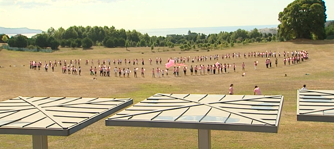 Prevenção do Cancro da Mama