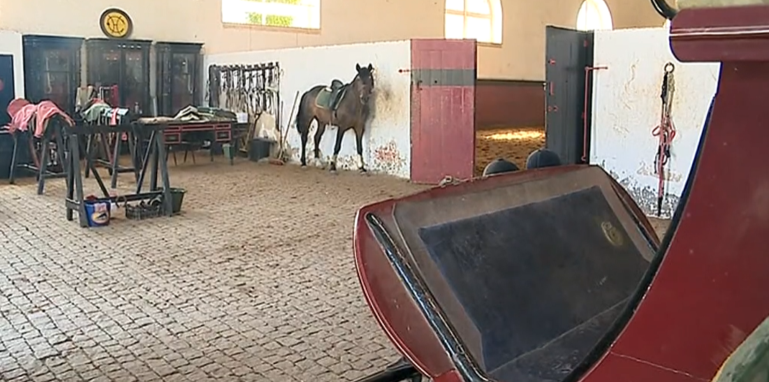 Licenciatura em Turismo de Espaços Rurais e Naturais