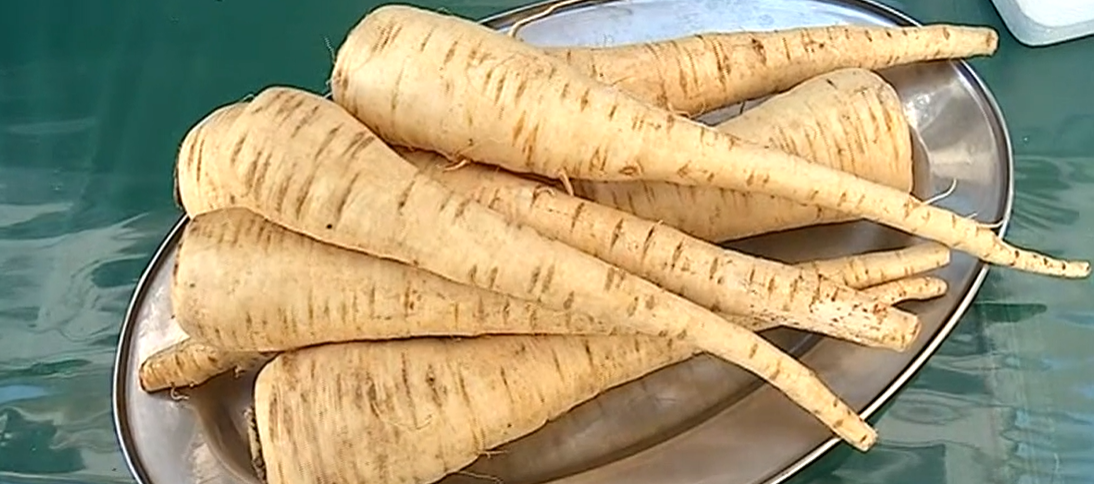 Festival da Cherovia