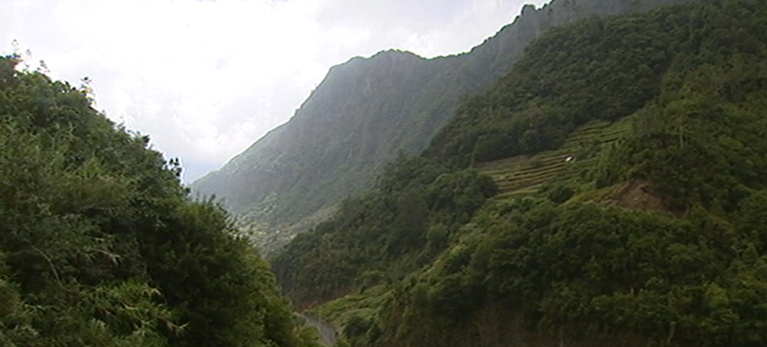 Recuperação do posto florestal da Fajã do Penedo