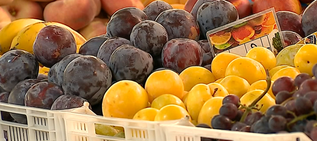 Feira da Dieta Mediterrânica