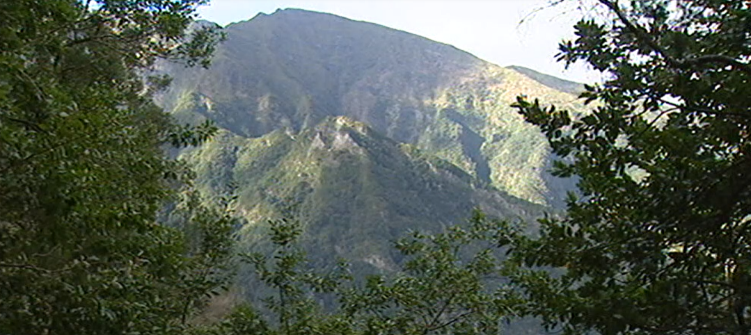 Conferência sobre plantas na Ilha da Madeira