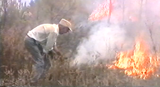 Incêndio florestal em Fajão