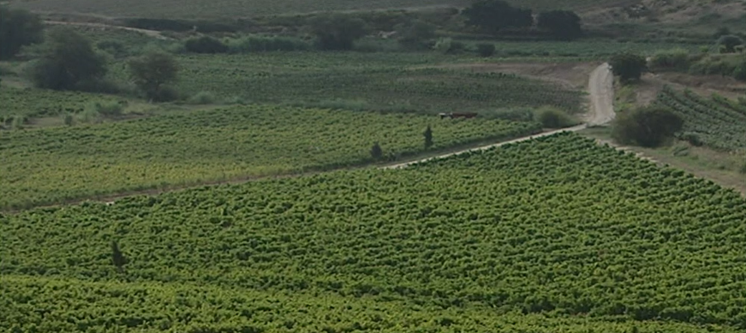 Projeto “10.10.10. Arte entre cidades”