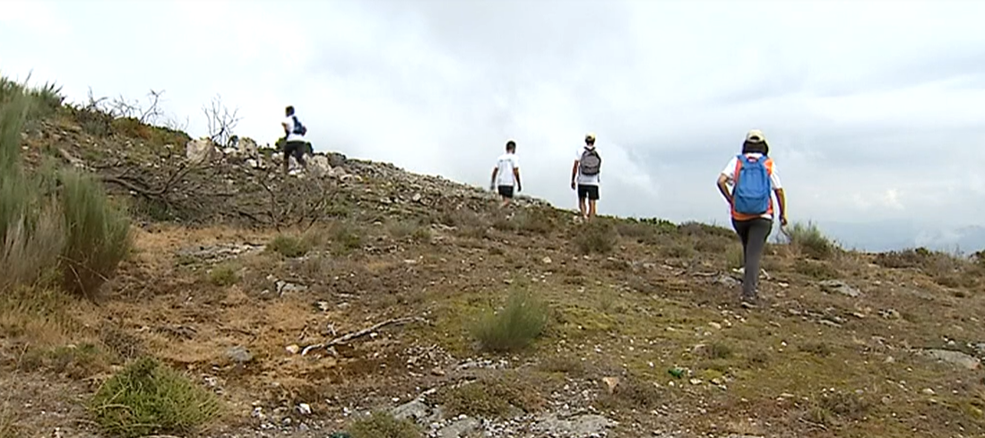 Prevenção de Incêndios