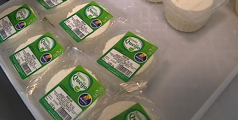 Visita às instalações da empresa Santo Queijo