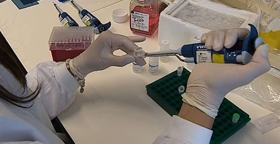 Rejuvenescimento da pele