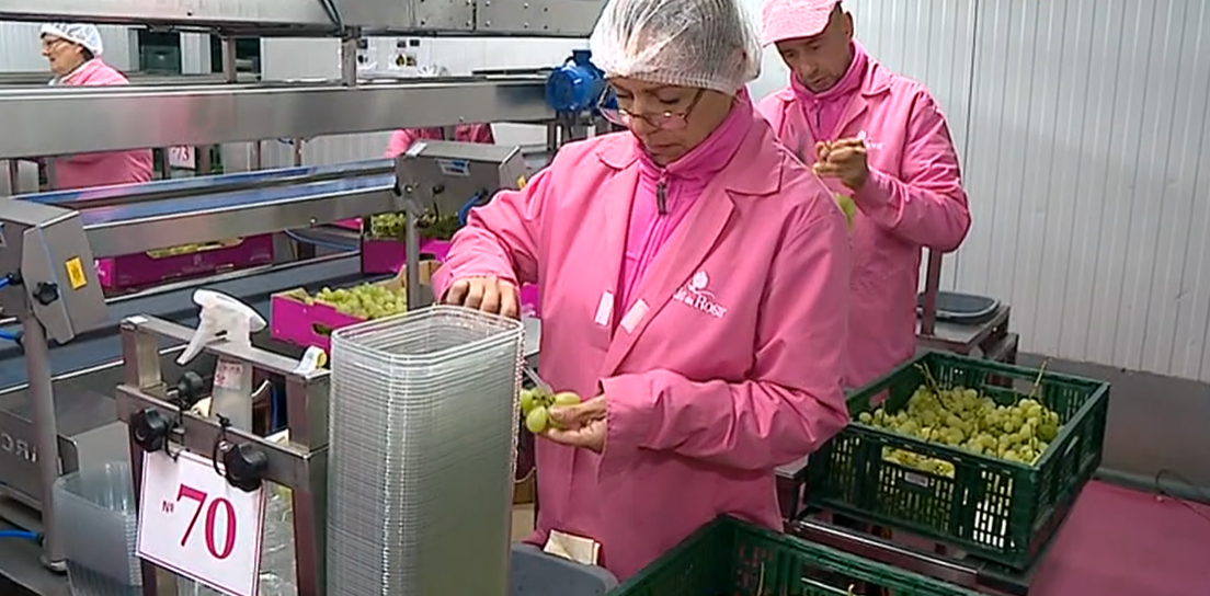 Empresa Vale da Rosa emprega luso-venezuelanos