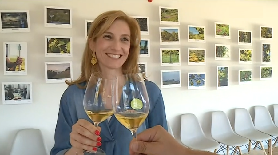 Vinho Biológico “Alvarinho Nature Pur Terroir”