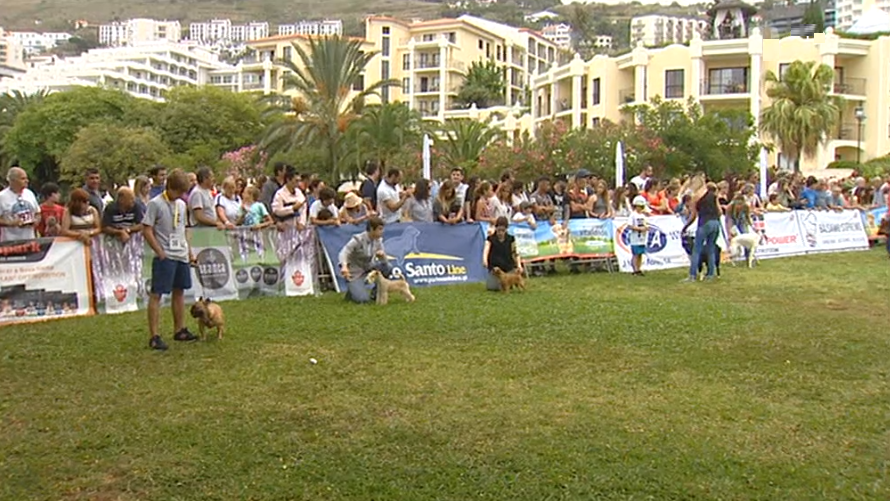 XII Edição da Mostra Canina do Funchal