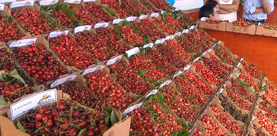 Festa da Cereja na Madeira