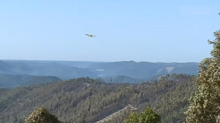 Incêndio florestal em Cernache de Bonjardim