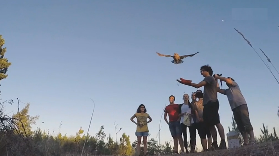 4ª Edição do “Eco Festival Salva a Terra”