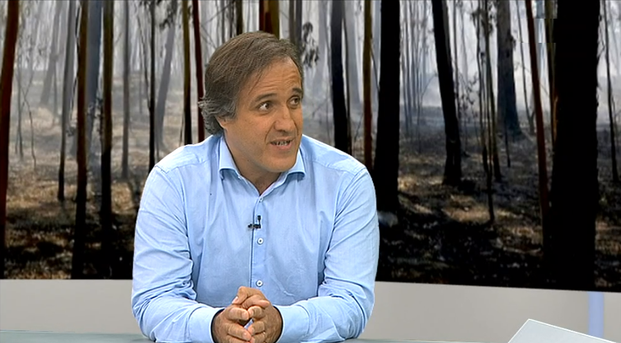 Entrevista a Paulo Magalhães