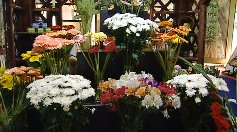 Feira Agrícola Açores 2017