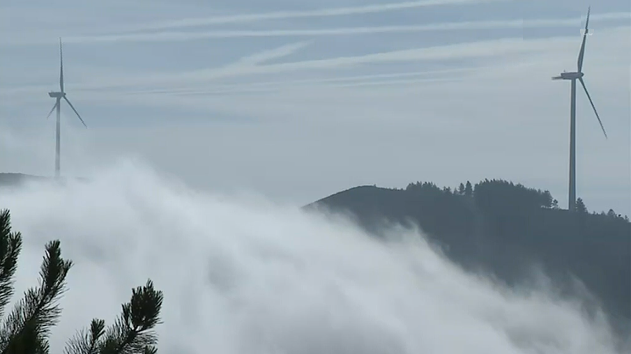 Incêndios florestais dominados