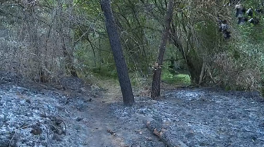 Causas do incêndio florestal de Pedrógão Grande
