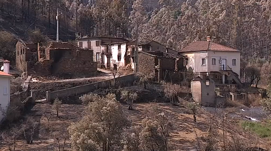 Tragédia causada pelos incêndios florestais