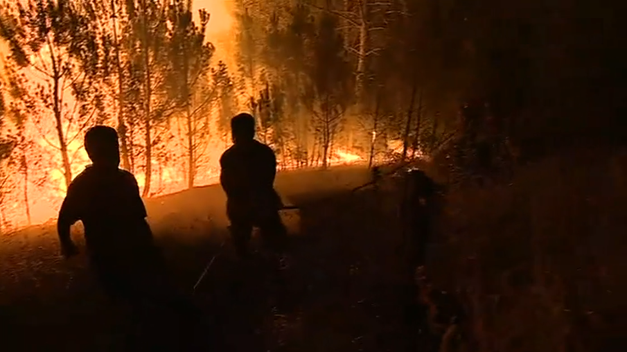 Incêndio florestal em Góis