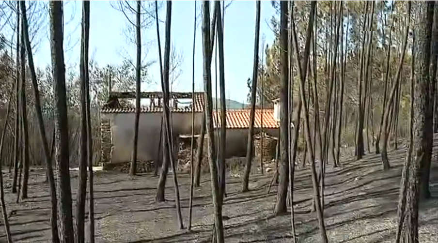 Testemunhos dos habitantes de Cernache de Bonjardim