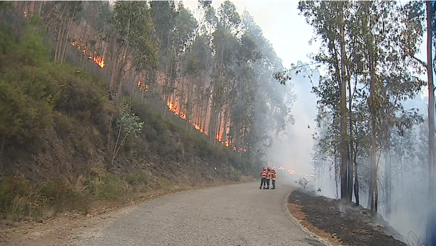 Plano Nacional de Defesa da Floresta