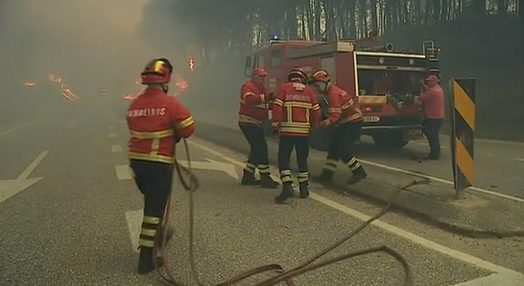 Declarações de Marta Soares sobre incêndios florestais